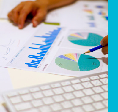 Tangentia | IBM Sterling Partner Engagement Manager