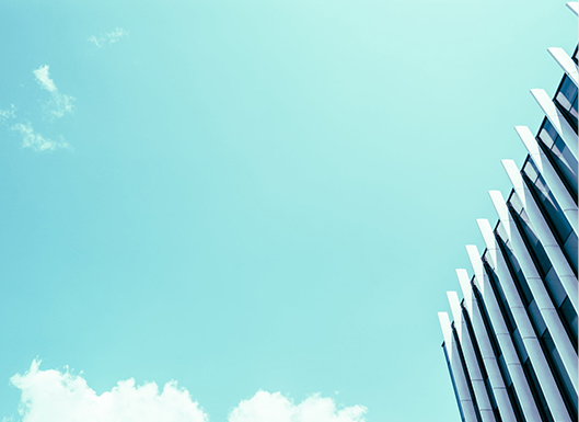 Tangentia | IBM Platinum Partner