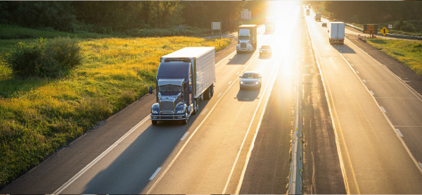 Tangentia | Walmart Tangentia | Walmart